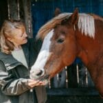 Starsza kobieta karmi brązowego konia na wiejskim podwórzu